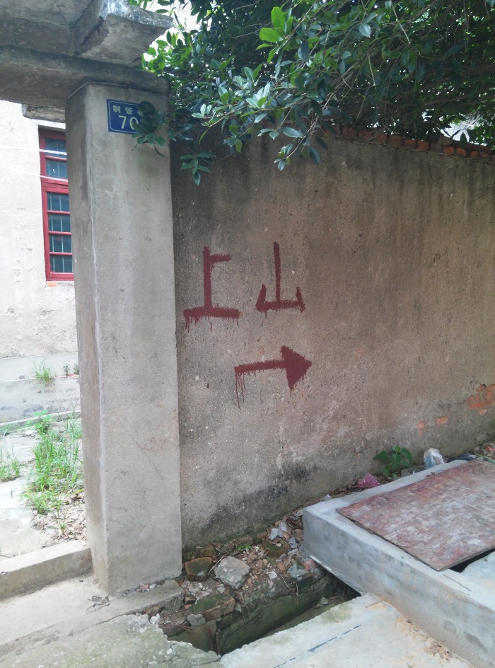 2ƹɽʶ2.jpg