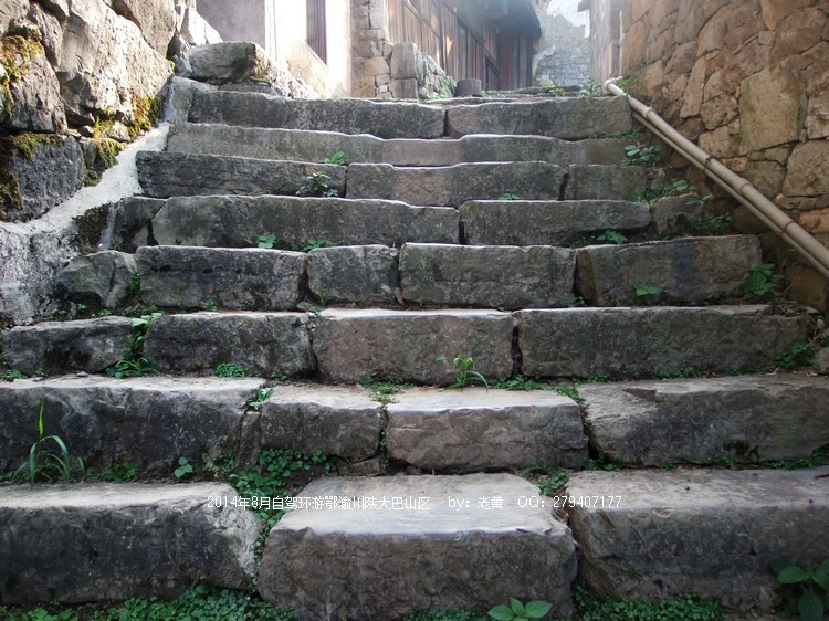 DSCF8048.JPG