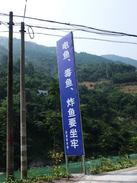DSCF8361.JPG
