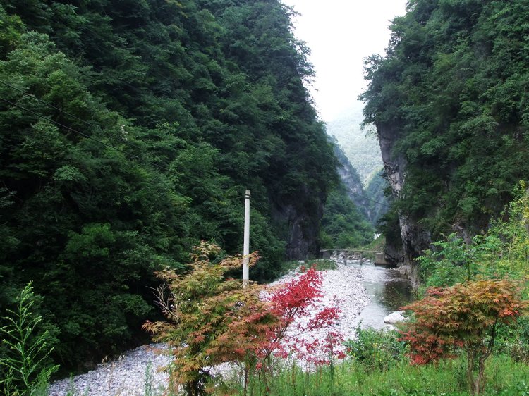 DSCF8450.JPG