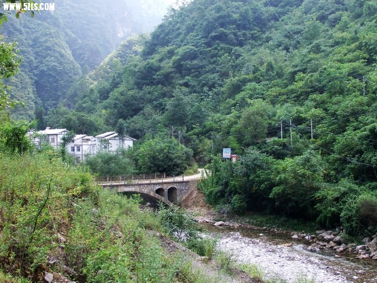 DSCF8449.JPG