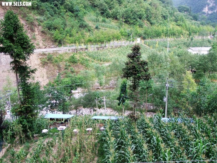 DSCF8548.JPG