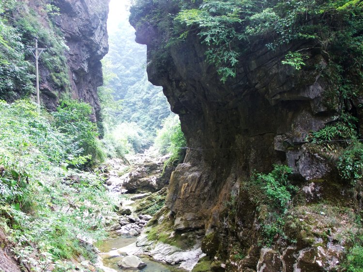 DSCF8513.JPG