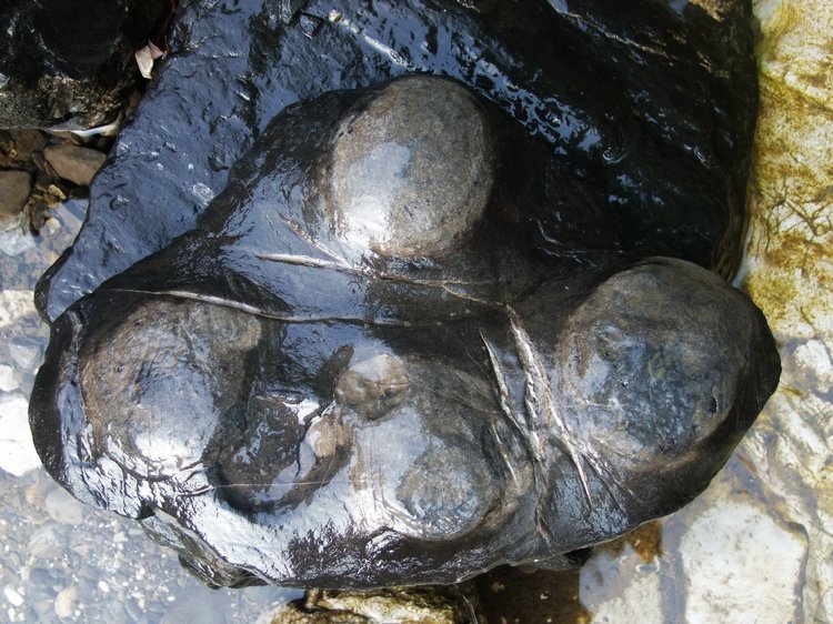 DSCF8574.JPG