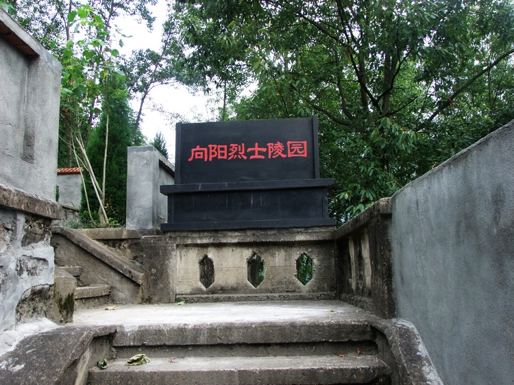 DSCF8718.JPG