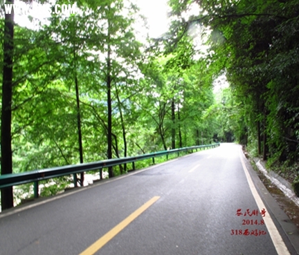 IMG_8078_.jpg