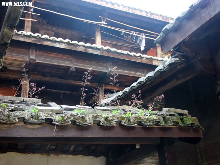 DSCF2479.JPG