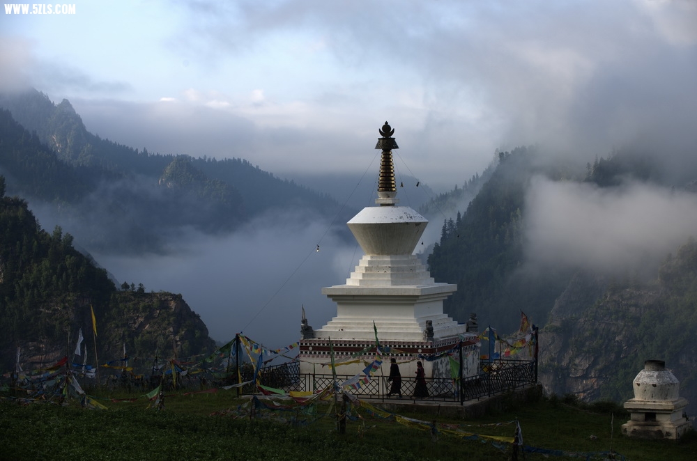 _DSC4825_缩小大小.jpg