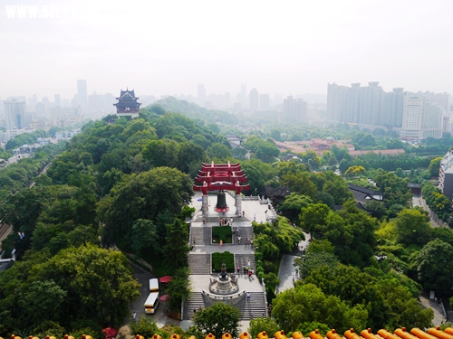 P1070025_.jpg