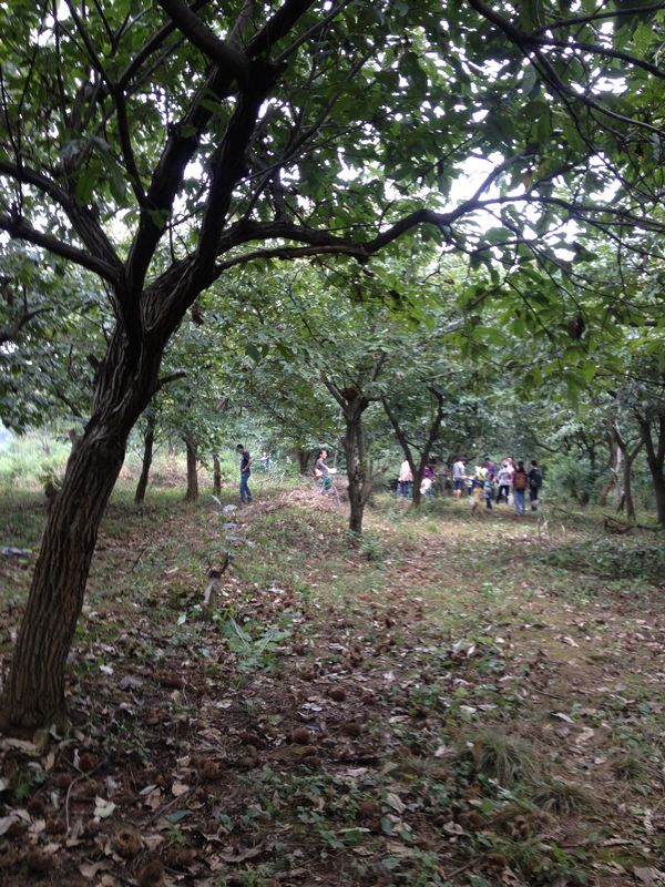 2014.9.13 014.jpg