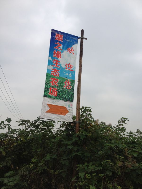 2014.9.13 037.jpg
