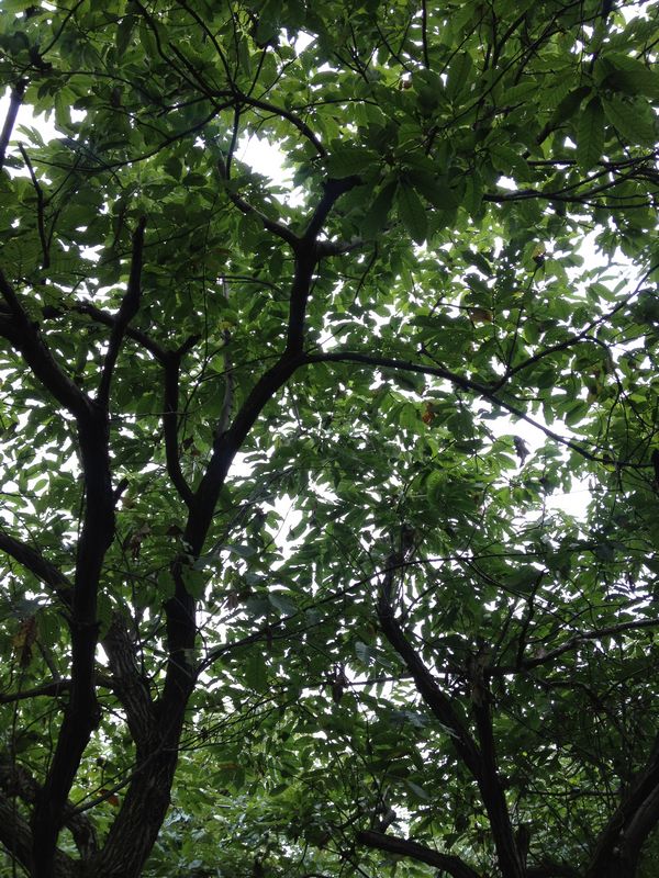 2014.9.13 116.jpg