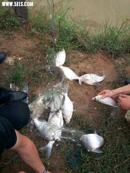 QQͼƬ20140917100820.jpg