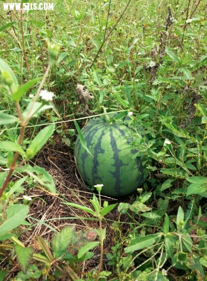 QQͼƬ20140917101015.jpg