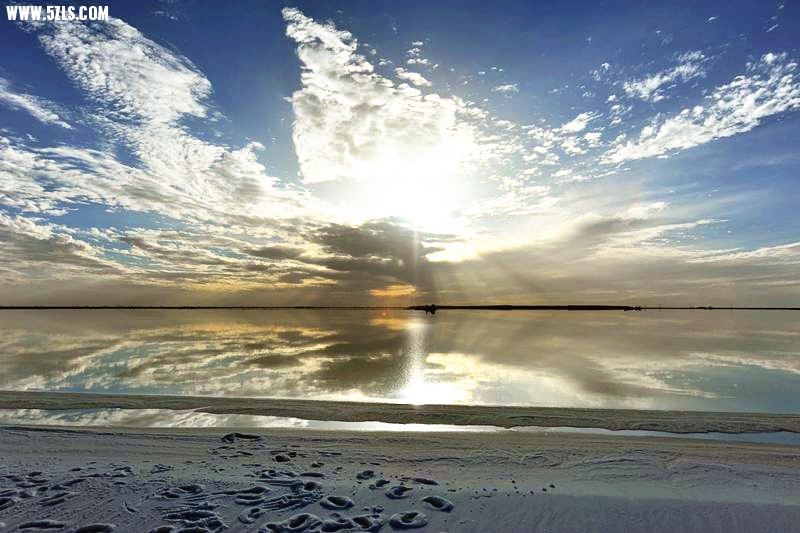 1SC_0482__.jpg