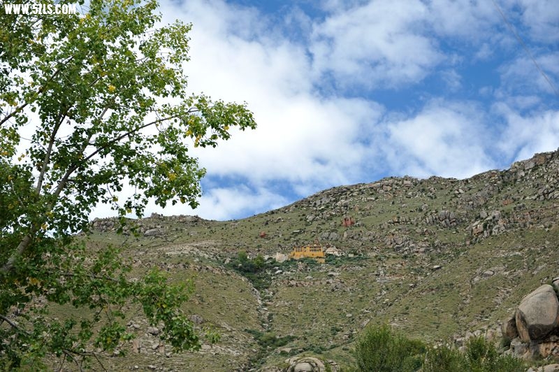 1SC_2740_.jpg