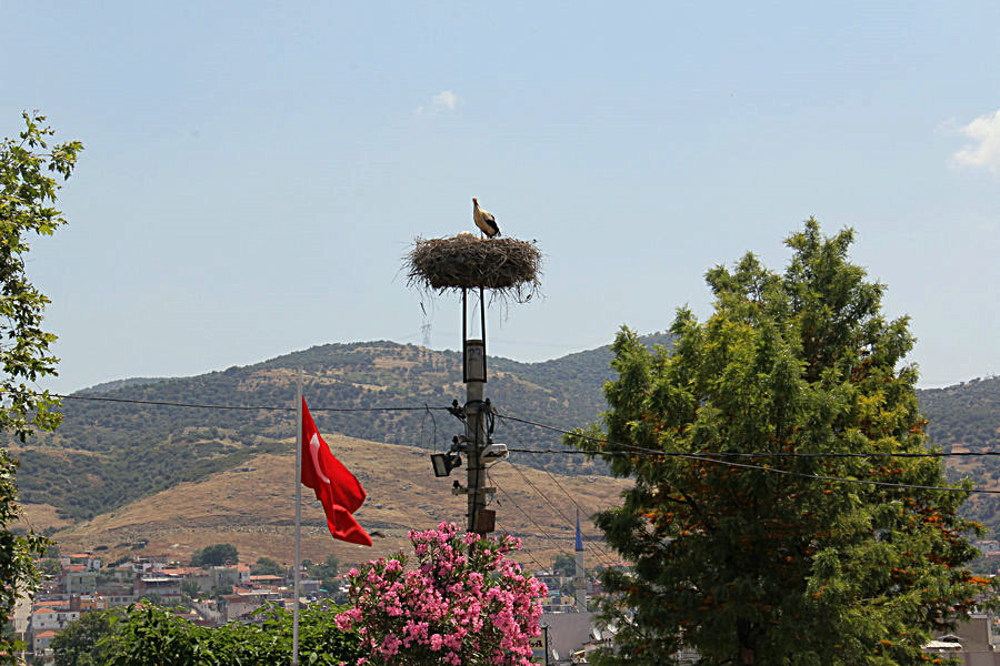 IMG_6324.JPG