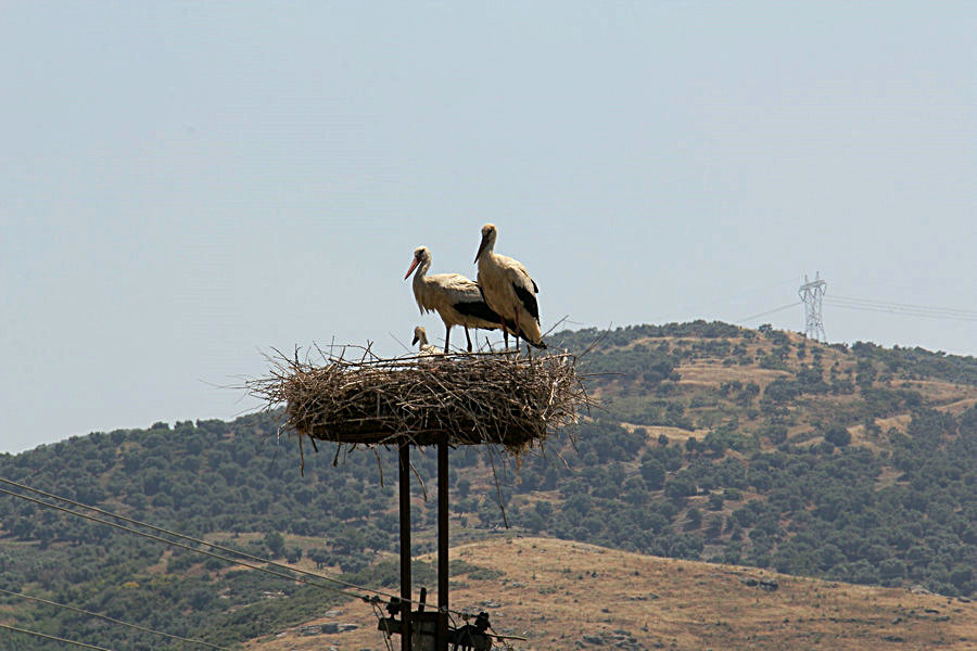 IMG_6325.JPG