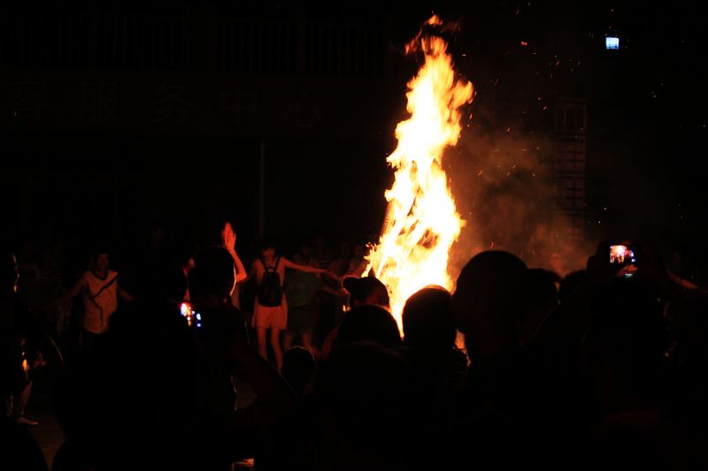 IMG_2987.jpg