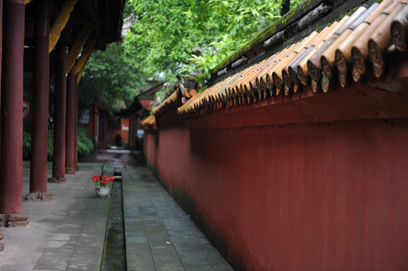1SC_3711_.jpg
