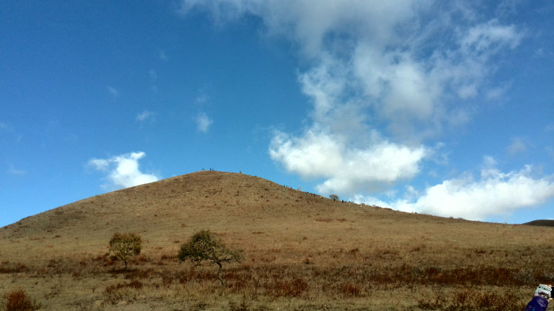 img_20141002_104249.jpg