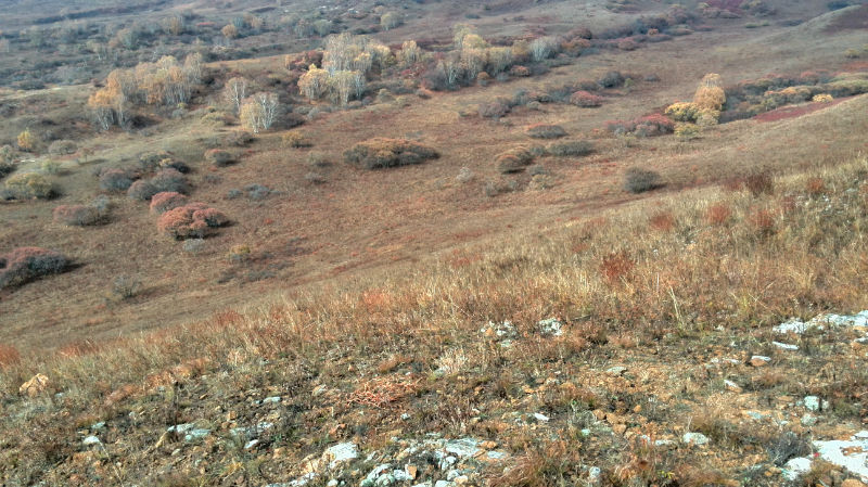 img_20141002_100635.jpg