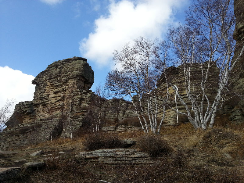 20141002_110509.jpg