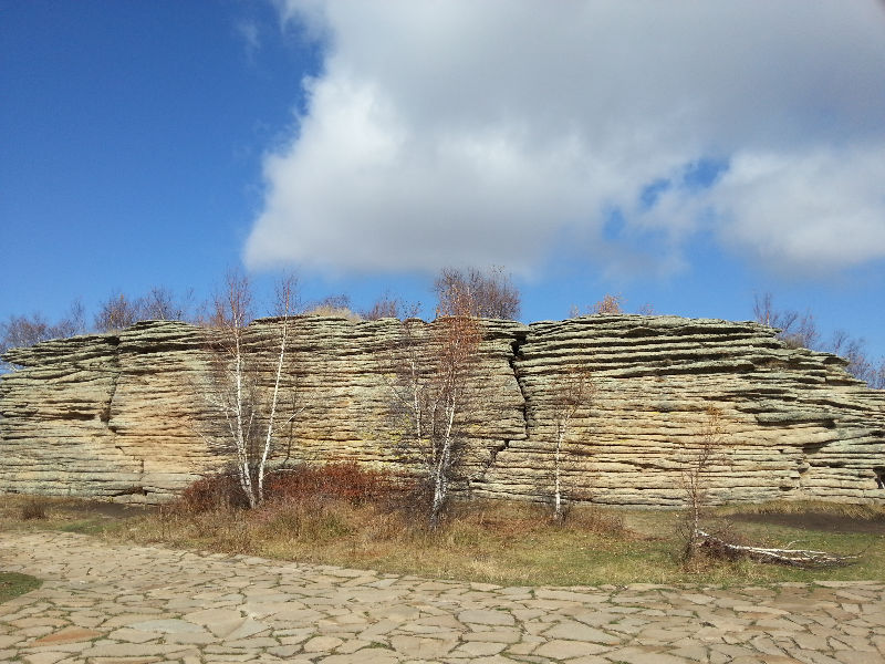 20141002_105904.jpg