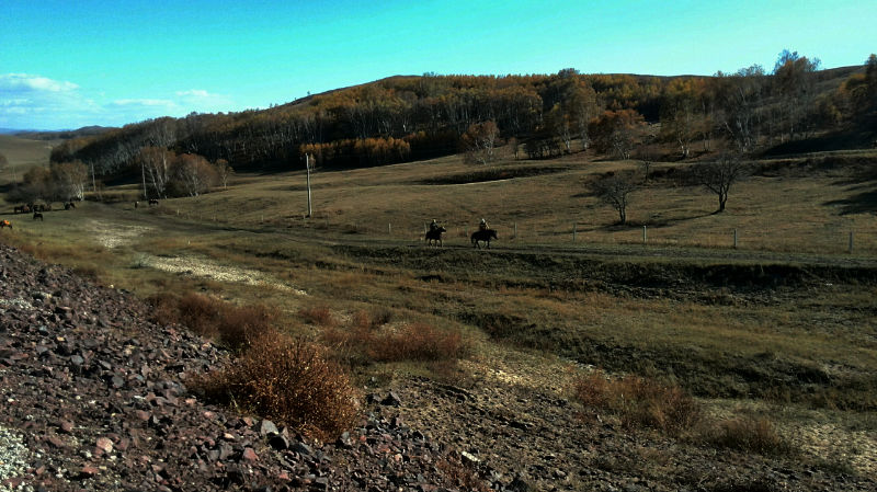 img_20141002_184741.jpg