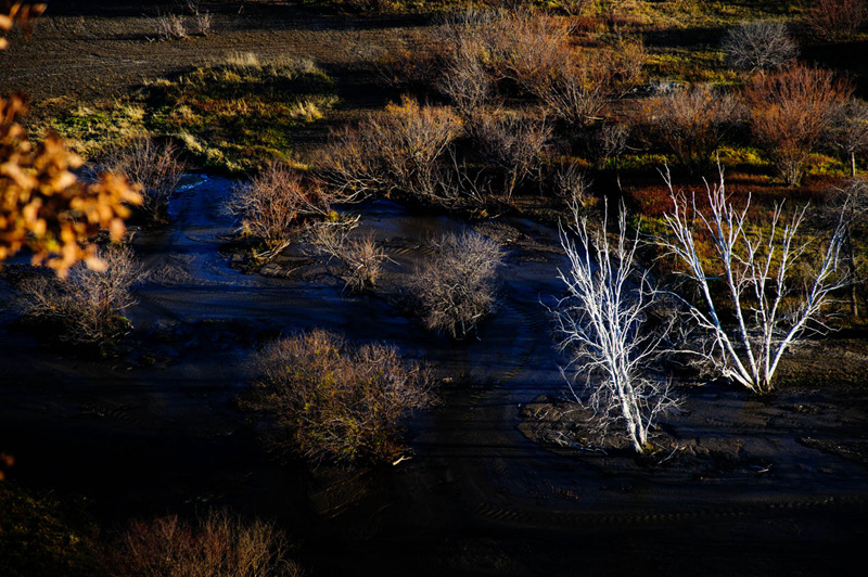 DSC_6917.jpg
