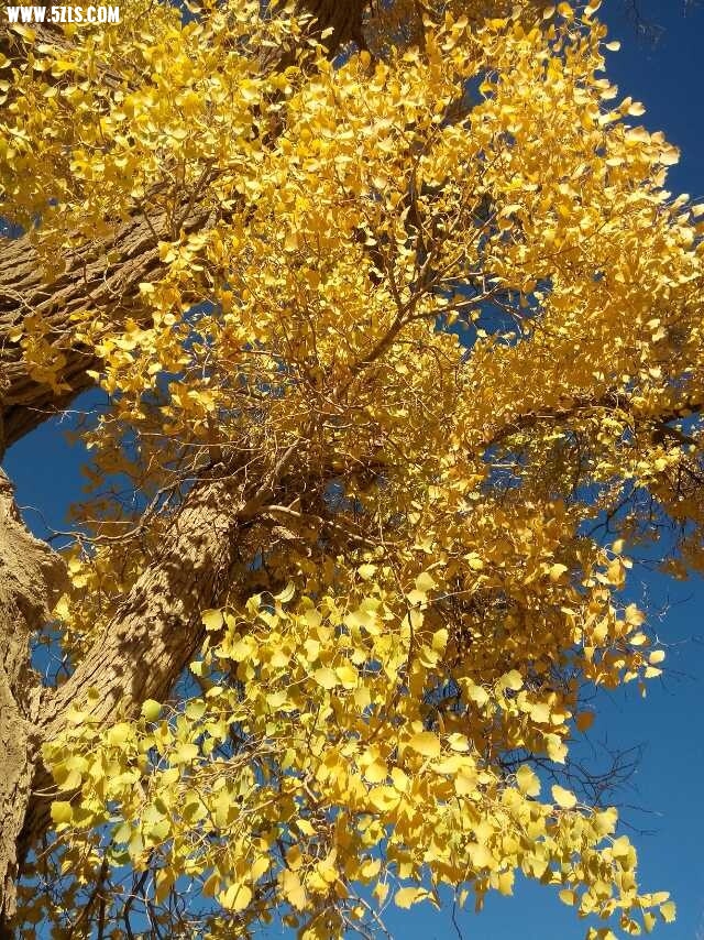 QQͼƬ20141004205418.jpg