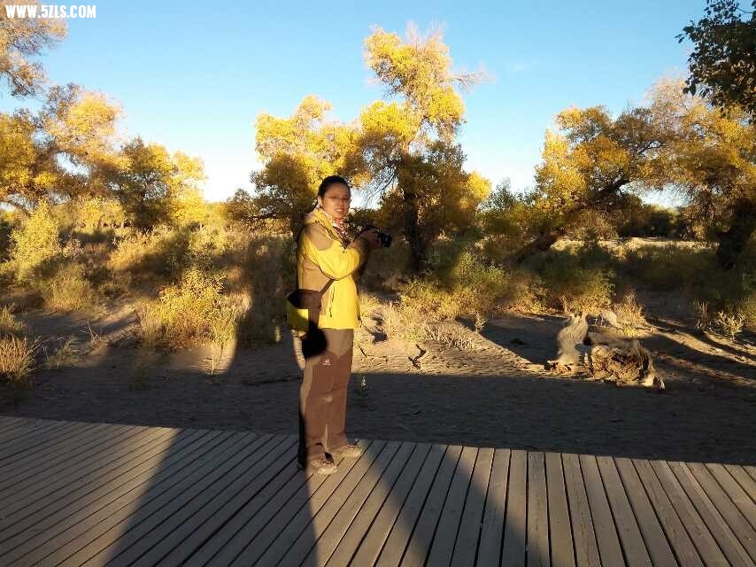 QQͼƬ20141004210725.jpg