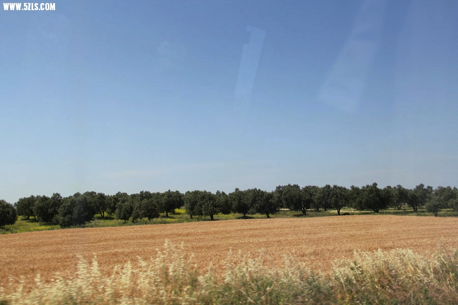 IMG_6386.JPG