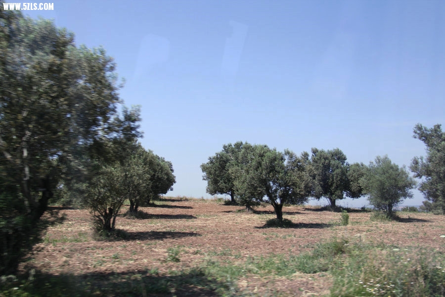 IMG_6387.JPG