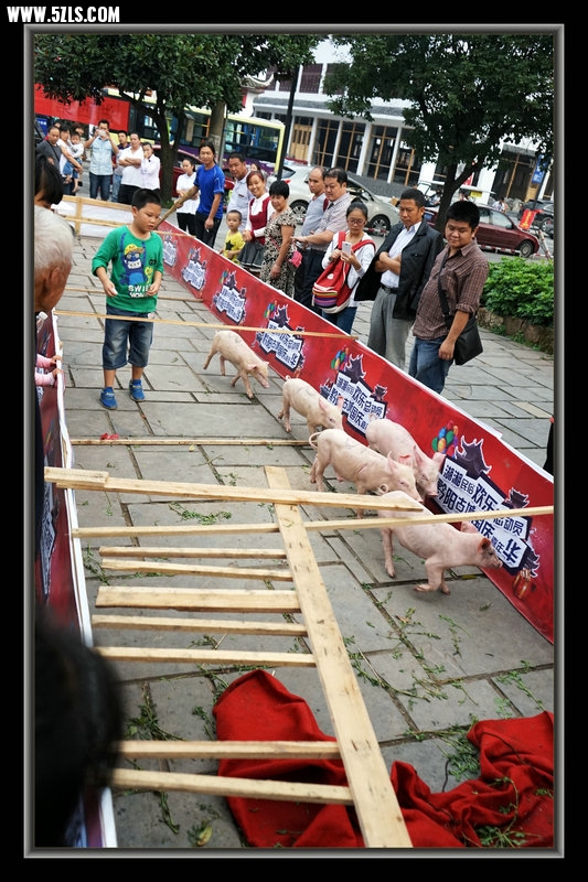 DSC02586.jpg