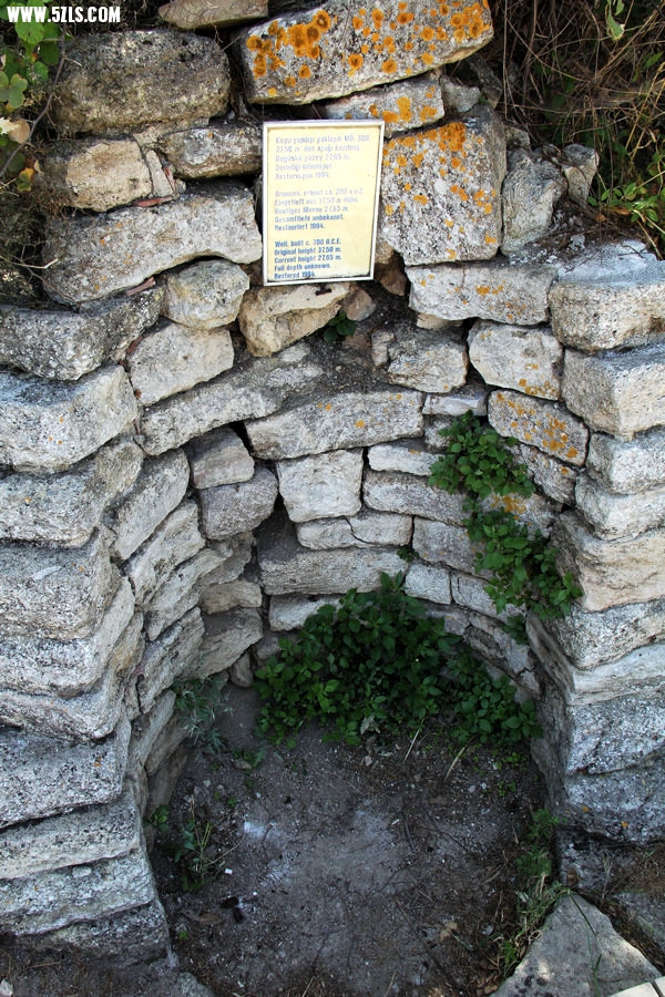 IMG_6458.JPG