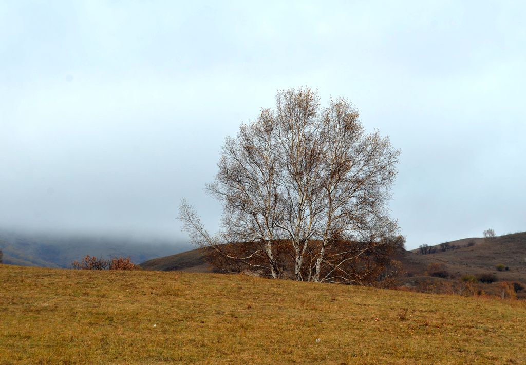 DSC_3356__.jpg