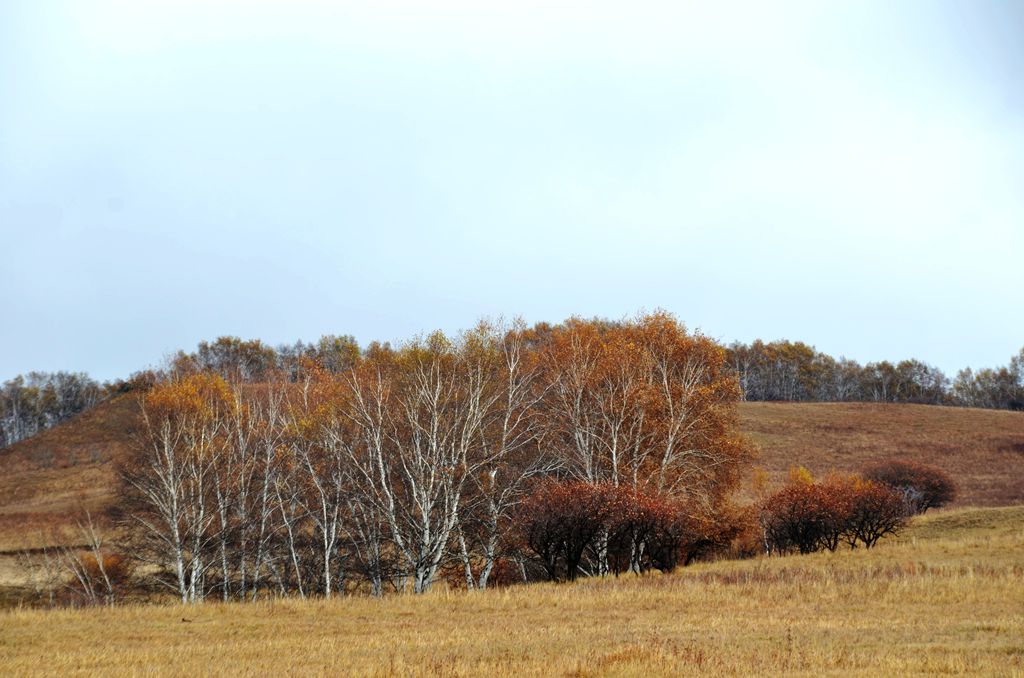 DSC_3407__.jpg