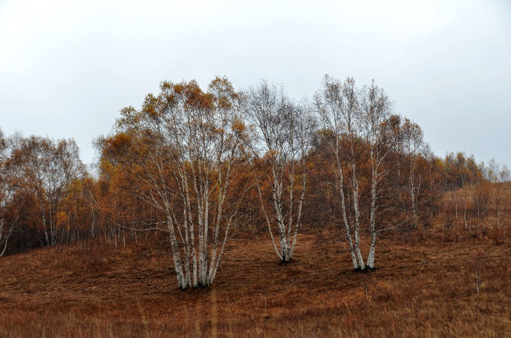 DSC_3413__.jpg