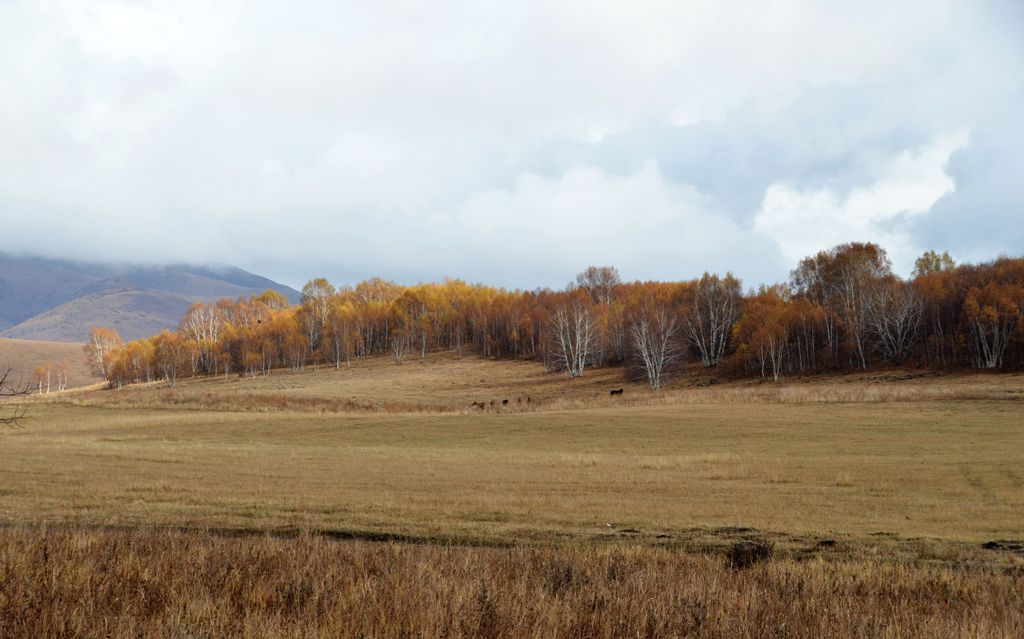 DSC_3550__.jpg