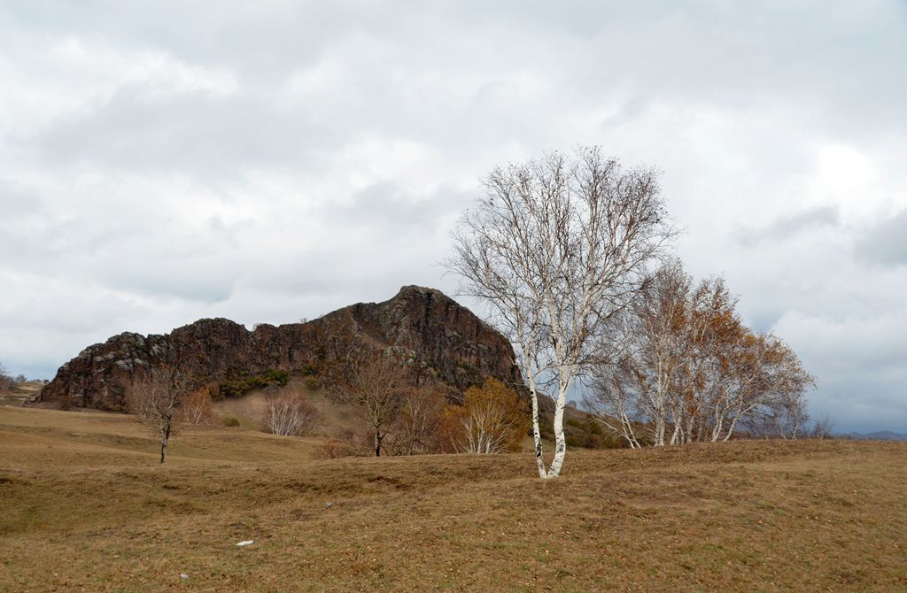 DSC_3609__.jpg