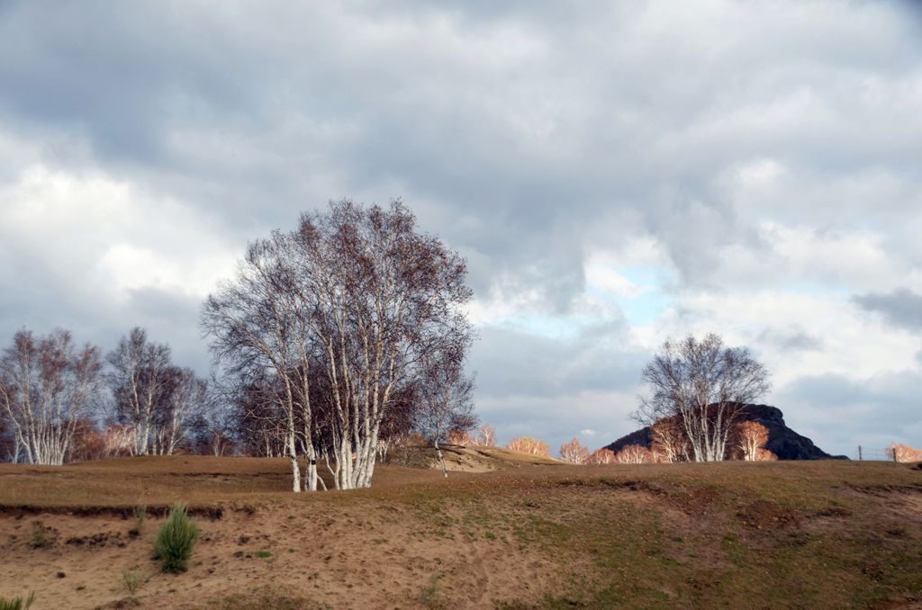 DSC_3637__.jpg