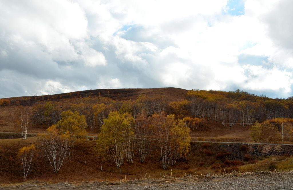 DSC_3657__.jpg