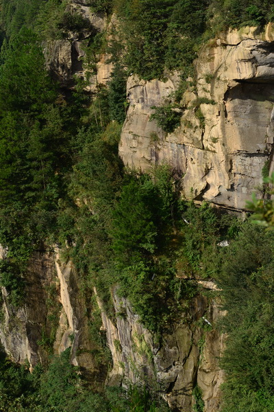 OCO_4623_С.JPG
