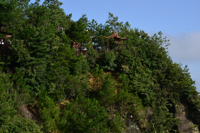 OCO_4668_С.JPG
