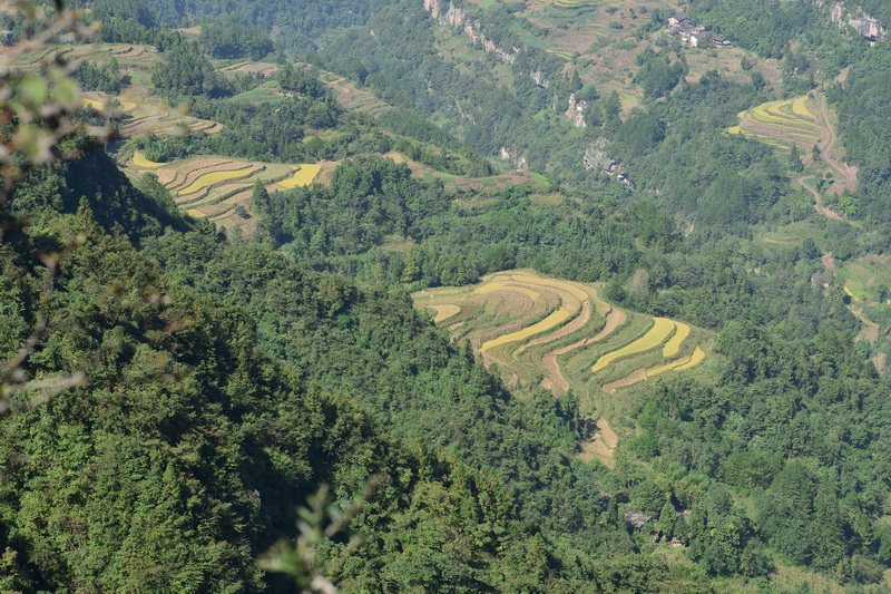 OCO_4701_С.JPG