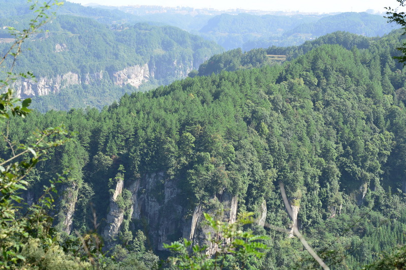 OCO_4864_С.jpg