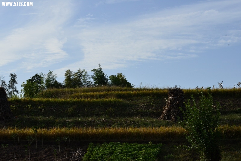 OCO_4962_С.jpg