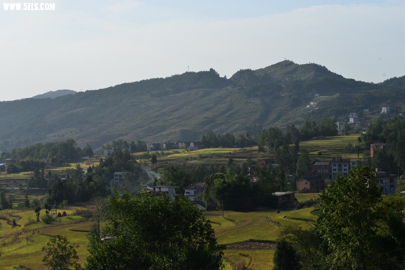 OCO_4953_С.jpg