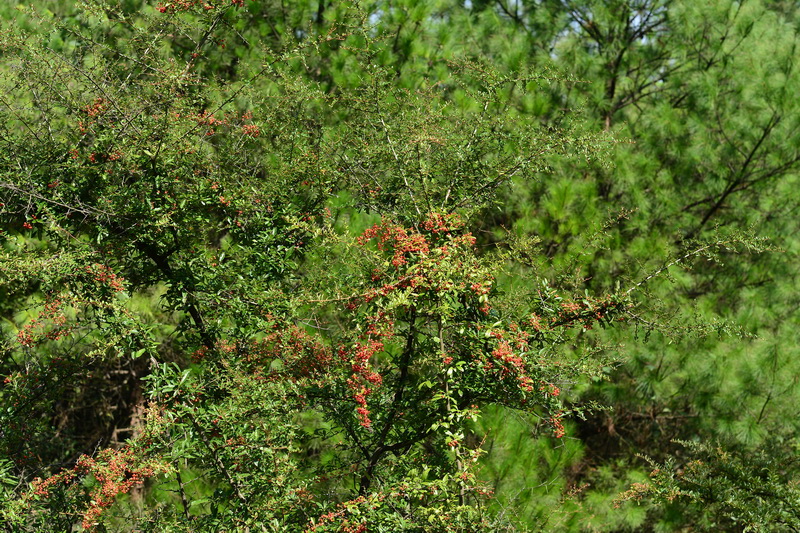 OCO_5173_С.jpg